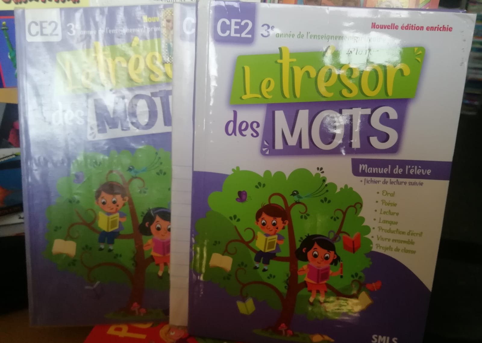 Le trésor des mots CE2 Manuel de l&rsquo;élève